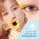 단델리온마켓 네이버블로그