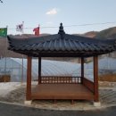 금화조경