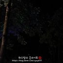 백운썬밸리캠핑장 이미지