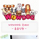 츄츄애견 이미지