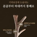 두루누릴 농장 네이버블로그