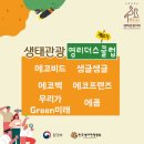 영클럽 이미지