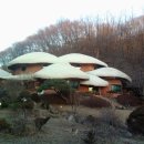 용인나무이야기 이미지