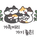 금쪽가석계점 이미지