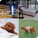 더멍102 | 제부도 애견동반 펜션 &#39;더멍102&#39;