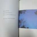 도자기온 이미지
