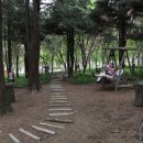 유니스의정원 이미지