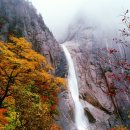 그냥갈수없잔아 Daum카페