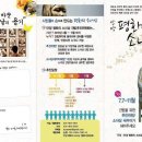 안양평화의소녀상 Daum카페