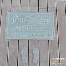 암태 오도항 관광안내소 | 신안 천사대교 포토존 암태도 오도선착장 1004벤치