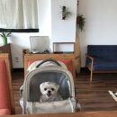 하남토스트 이미지