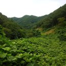 안평산 티스토리
