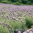 연천농장식품 이미지