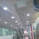 아마죤탁구교실