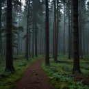 양평쉬자파크 이미지