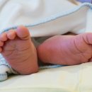닥터맘(성북/강북/도봉/노원) 이미지