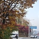 농수산물 직판장 | 안양 농수산물시장 장어 맛집 송천유통 또또또간집