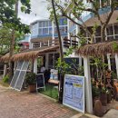 그리던바다 | 보라카이 볼라복 비치 '칼마카페' 트리하우스, 휴양지 감성 터지는 카페, 꿈에 그리던 천국 같은 풍경