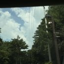 둥지파크 | 제천 리솜포레스트 1박 2일 후기(워터파크, 둥지치킨, 솔티맥주)