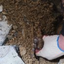 구월3동-3 이미지