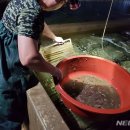 수산1구 이미지