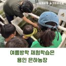 은하어린이집 놀이터 | 여름방학에 가기좋은 용인 체험 은하농장