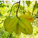 논향농장 이미지