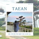 태안 가족 펜션 추천 일몰이 멋진 오션뷰 숙소 오션더힐