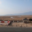 득량만 바다낚시공원 Daum카페