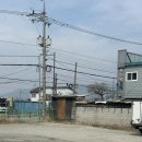 핑크타이거 | 광주 양산동 카페 타이거핑크(tiger pink) 베이커리 카페 방문 후기