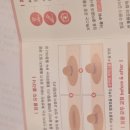 갑앤유외과의원 | 역삼유방외과추천받고 함몰유두 교정술 했어요