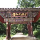 대 산 Daum카페
