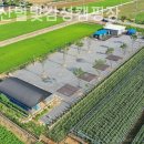 소백산 별빛감성 캠핑장 | 단양캠핑장 소백산별빛감성캠핑장 힐링여행추천