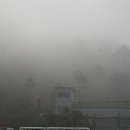 보성녹차골휴게소 이미지