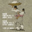 수류화개 Daum카페