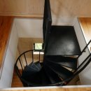 물고기나무 이미지