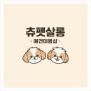 우리강아지 | 💖 대전애견미용 츄펫살롱 솔직 후기! 우리 강아지 인생 미용 성공 (가위 컷 최고!) ✂️🐶
