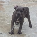 경중농장 이미지