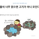 백락 Daum카페