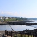 예래로 | 제주도 중문 예래 논짓물 해수욕장 근처 강아지 산책