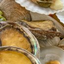 신조개천국 이미지