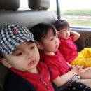 세윤농장 이미지