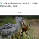 그냥 솔직해지는 거야