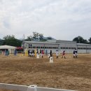 멜버른승마 이미지