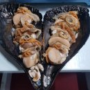 수경수산(부천) | 서해안에 금게가?? (수중해루질 후기)