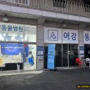 어강 이미지