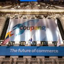 차이난다 몰 이미지