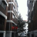 서구-01-52 이미지