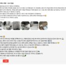 스타보드35 이미지