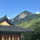 서울식당 | 공주 동학사 계곡맛집 서울식당 솔직후기